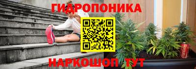дживик Гусь-Хрустальный